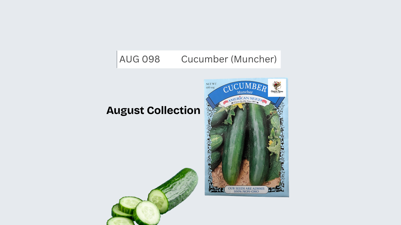 Cucumber (Muncher)