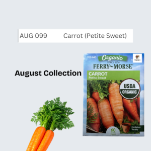Carrot (Petite Sweet)