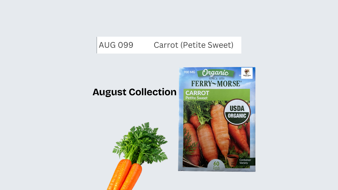 Carrot (Petite Sweet)