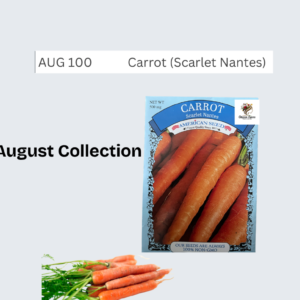 Scarlet Nantes carrot