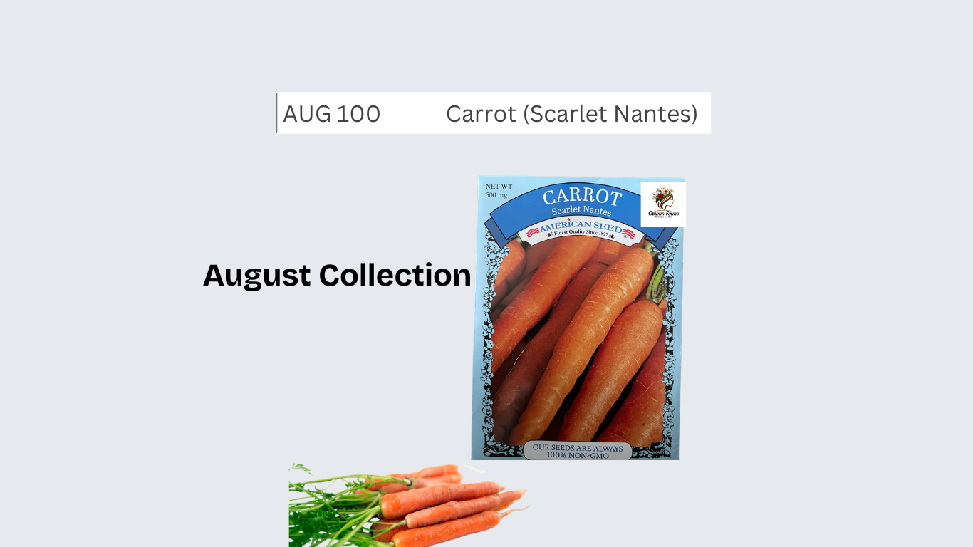 Scarlet Nantes carrot