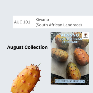 Kiwano (South African Landrace)
