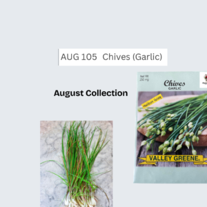 Chives (Garlic)