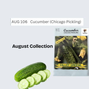 Cucumber (Chicago Pickling)