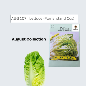 Lettuce (Parris Island Cos)