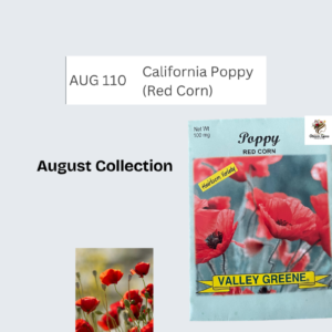California Poppy (Red Corn)