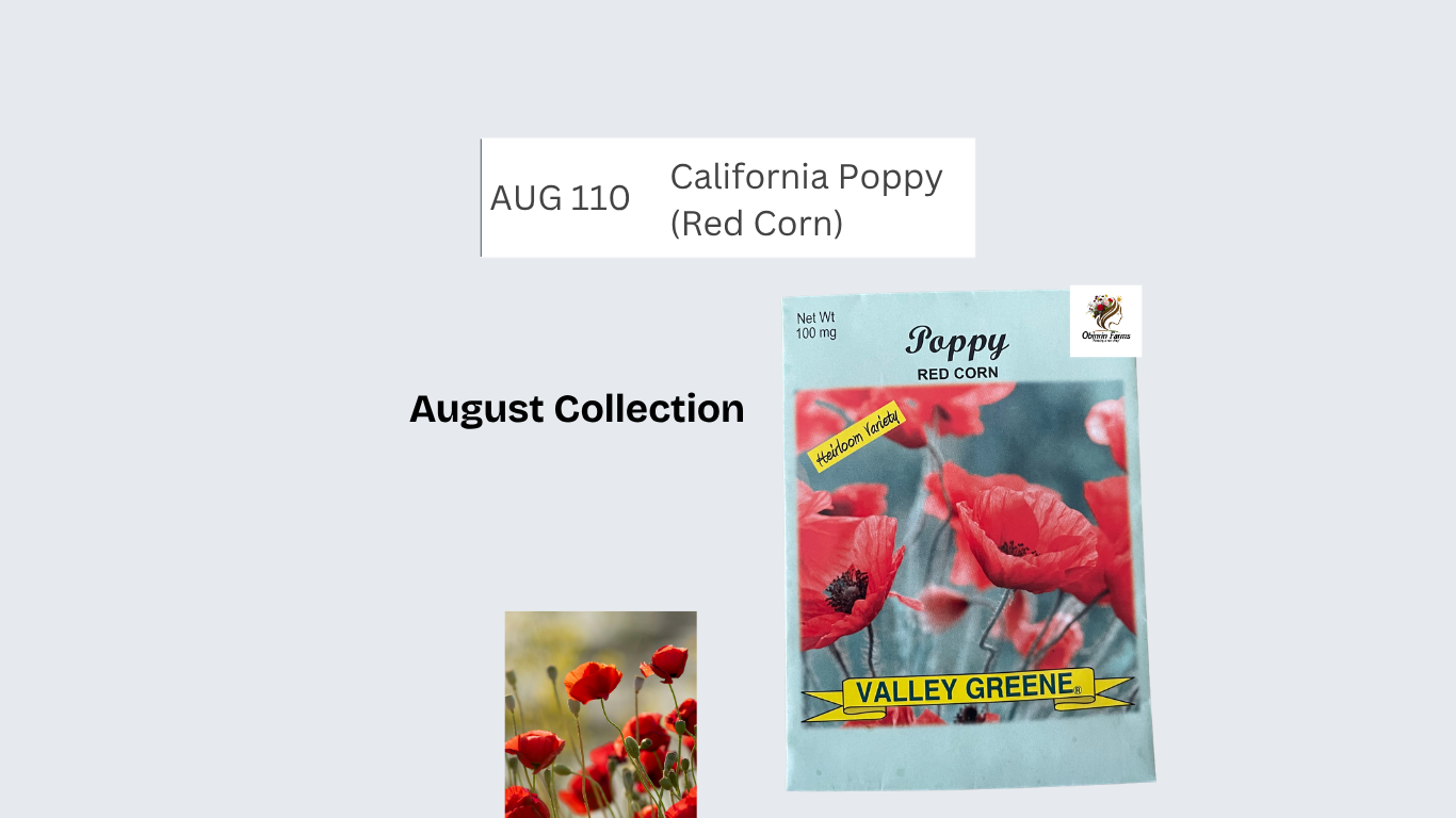 California Poppy (Red Corn)