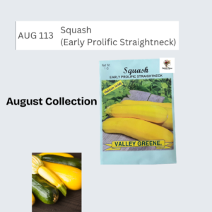 Squash (Early Prolific Straightneck)