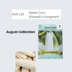 Sweet Corn (Stowell's Evergreen)