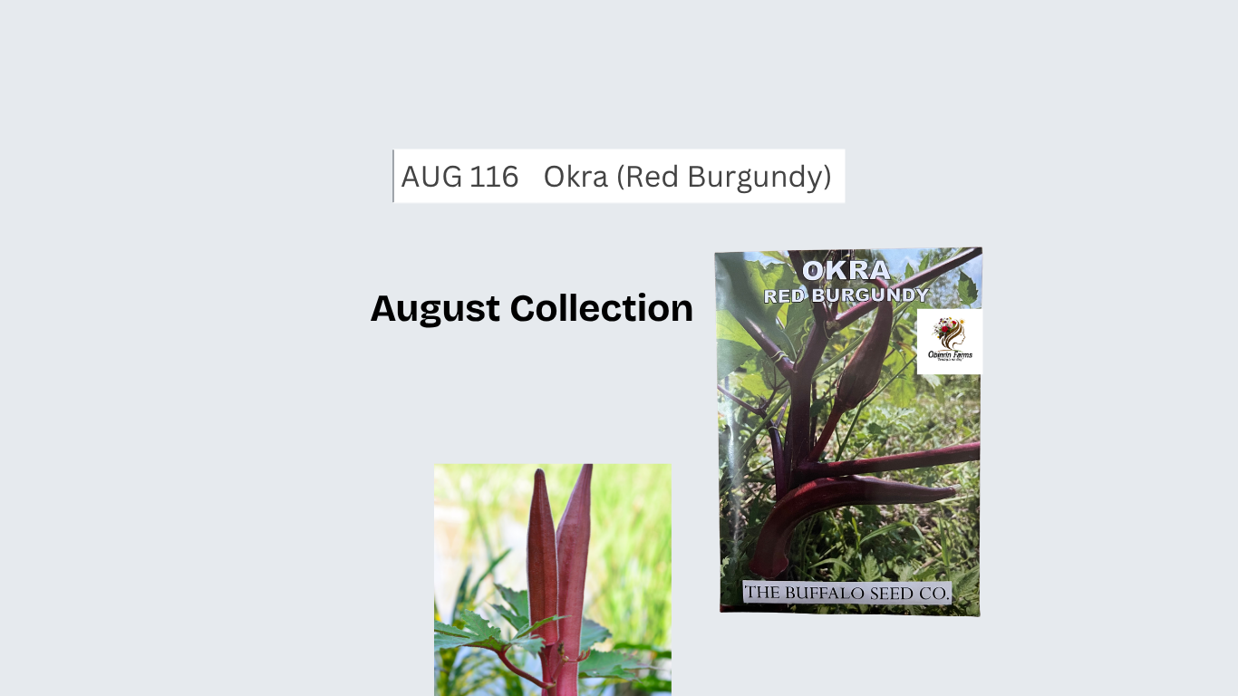 Okra (Red Burgundy)