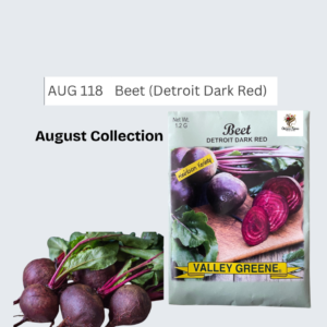 Beet (Dark Red Detroit)
