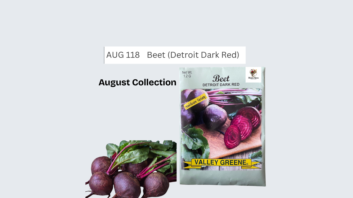 Beet (Dark Red Detroit)