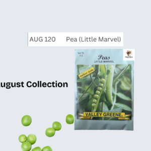 Pea (Marvel Little)