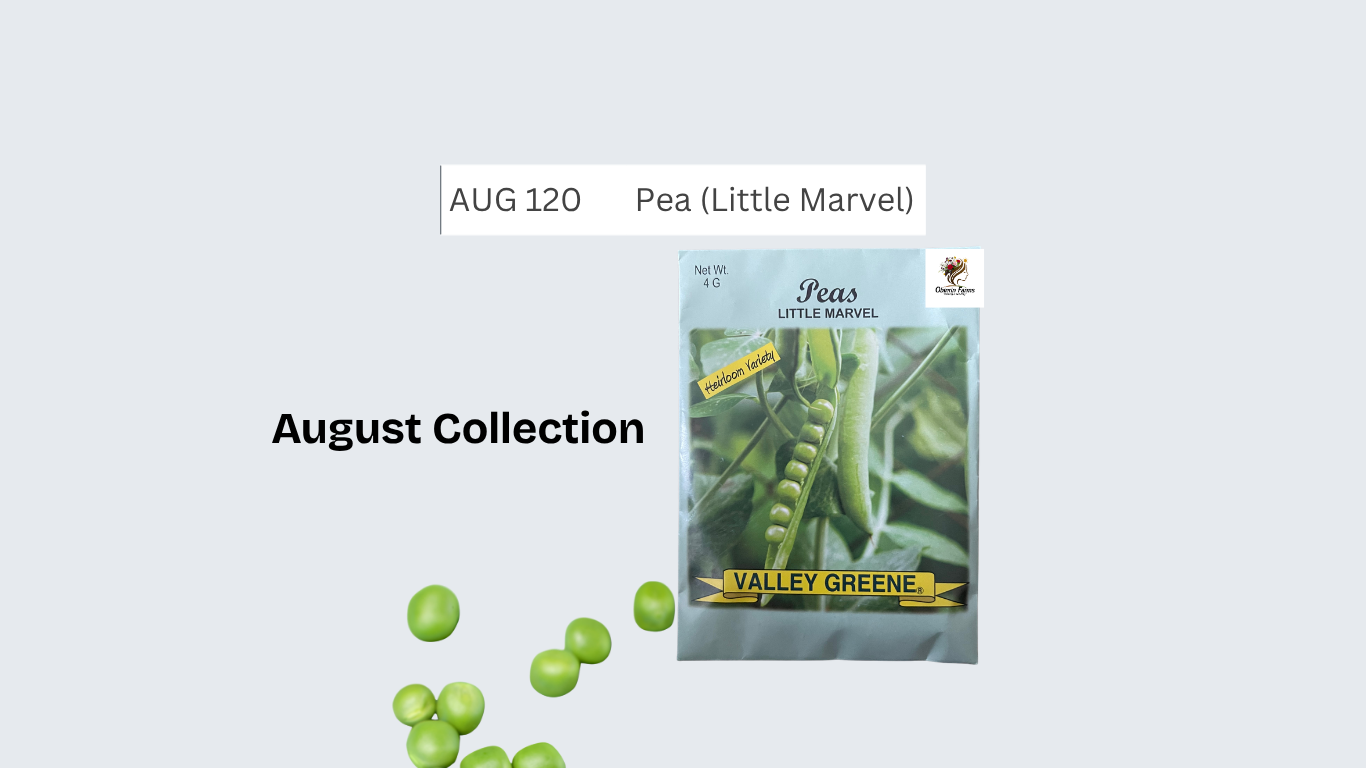 Pea (Marvel Little)