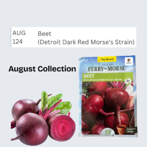 Beet (Detroit Dark Red Morse's Strain)