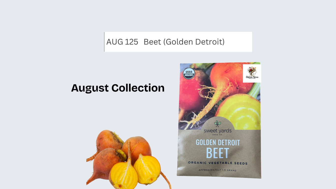 Beet (Golden Detroit)