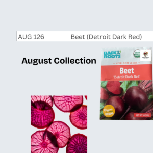 Beet (D.D.R)