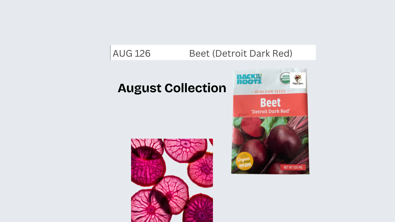 Beet (D.D.R)