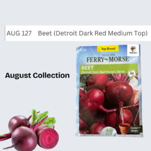 Beet (Detroit Dark Red Medium Top)