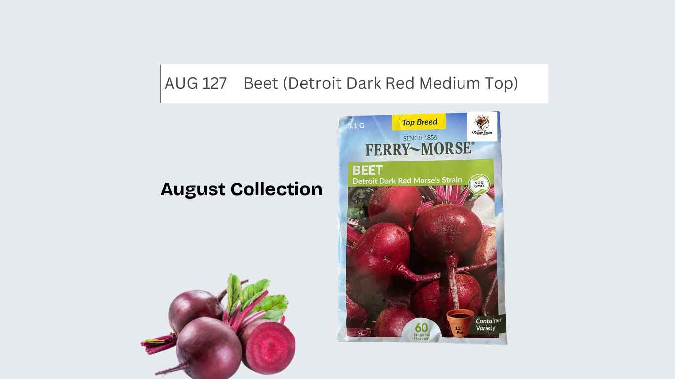 Beet (Detroit Dark Red Medium Top)