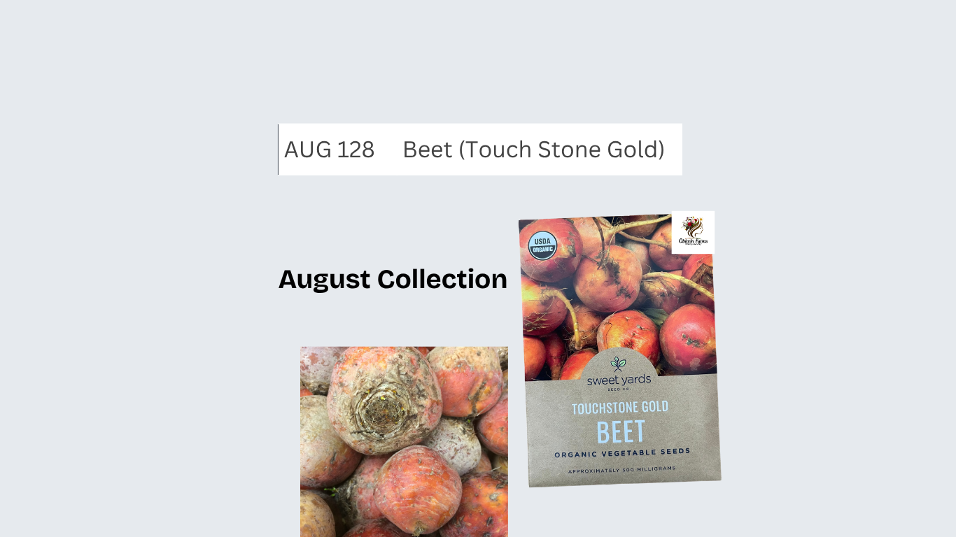 Beet (Touch Stone Gold)