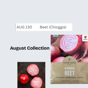 Beet (Chioggia)