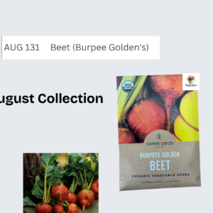 Beet (Burpee Golden's)