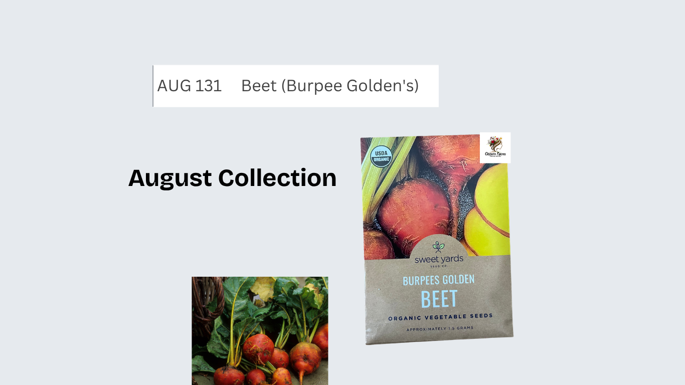Beet (Burpee Golden's)
