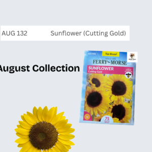 Sunflower (Cutting Gold)