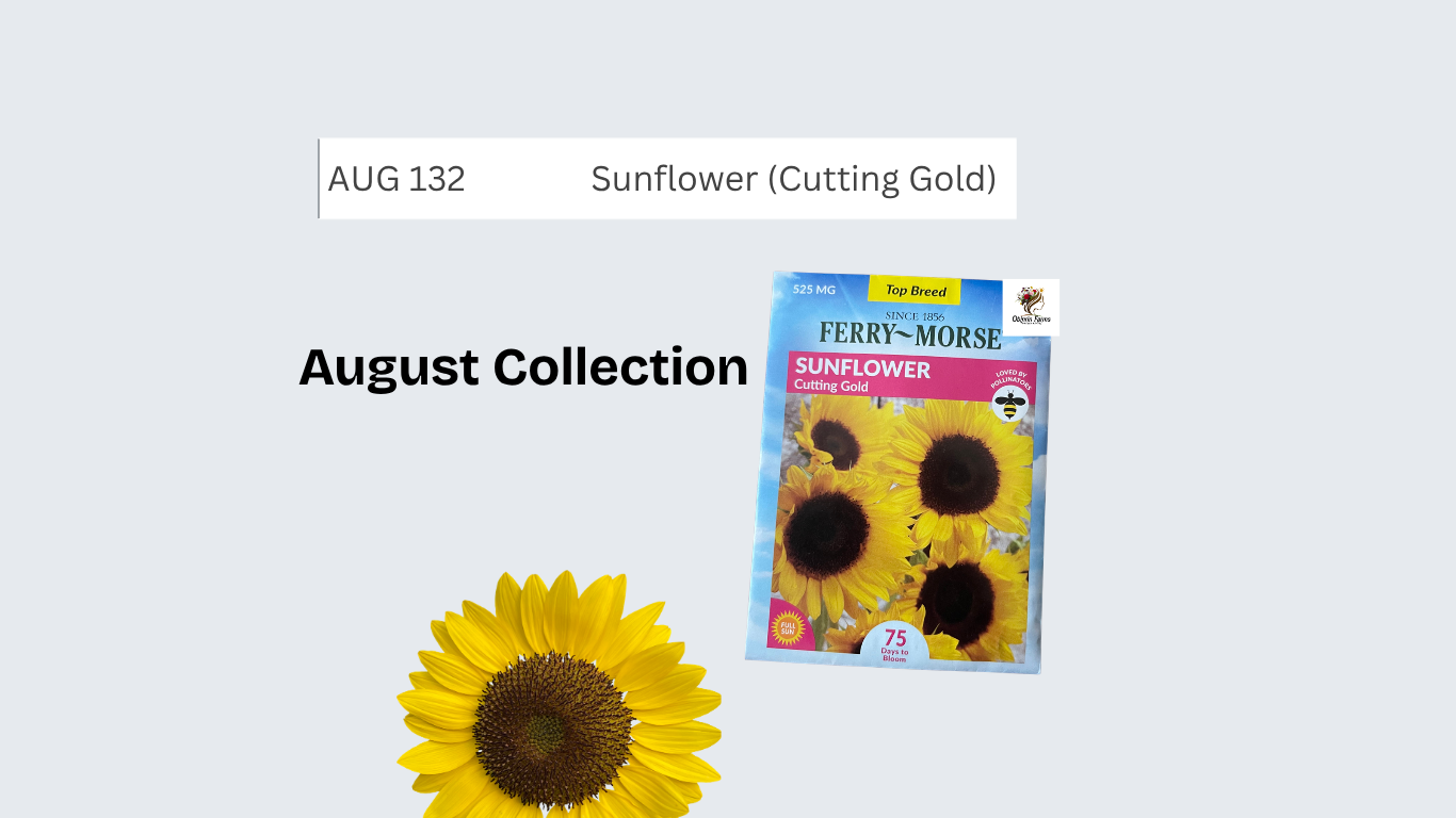 Sunflower (Cutting Gold)