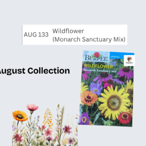 Wildflower (Monarch Sanctuary Mix)