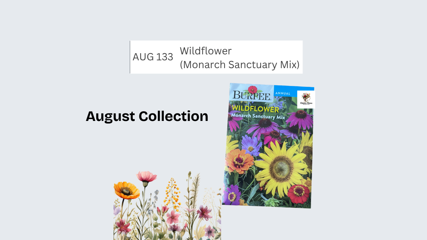 Wildflower (Monarch Sanctuary Mix)