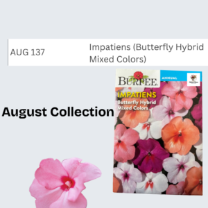 Impatiens (Butterfly Hybrid Mixed Colors)