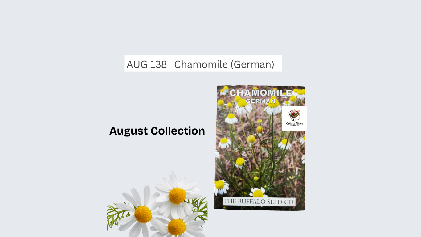Chamomile (German)