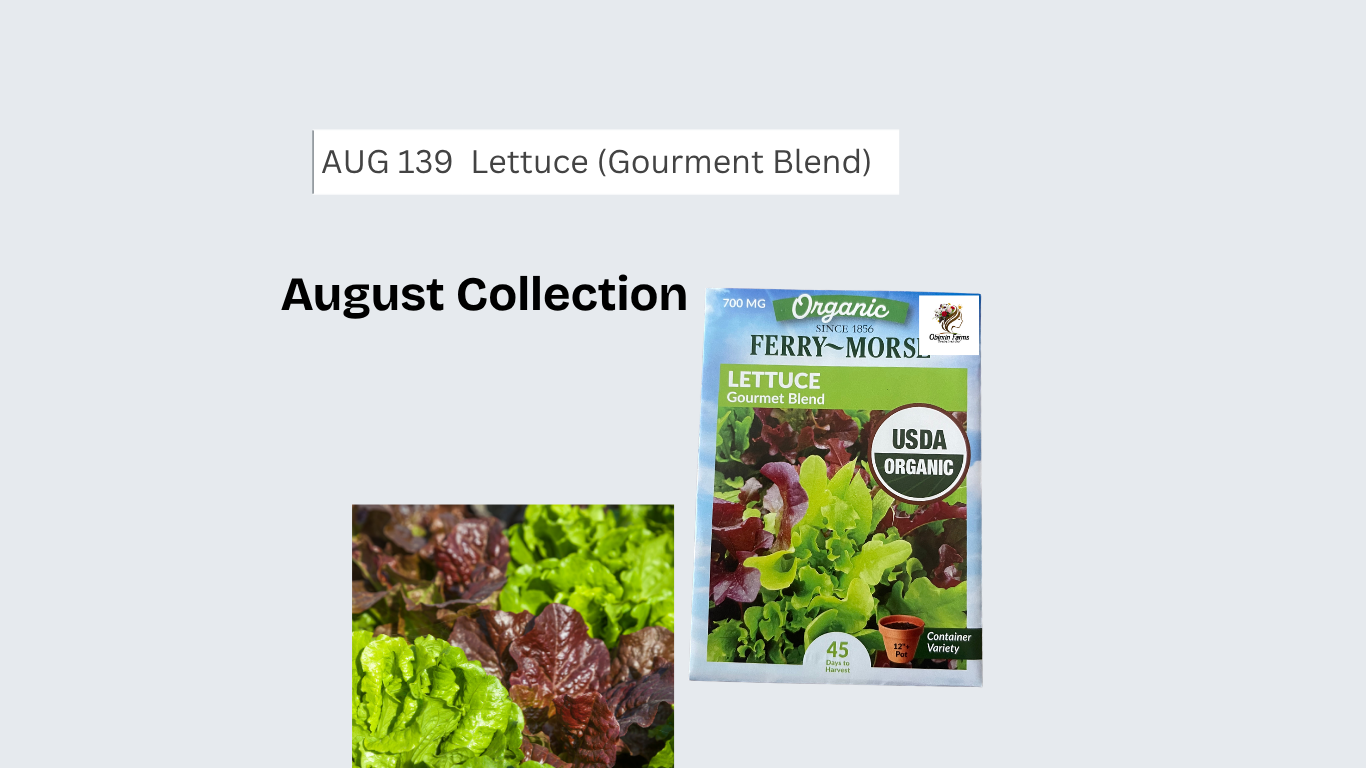 Lettuce (Gourment Blend)