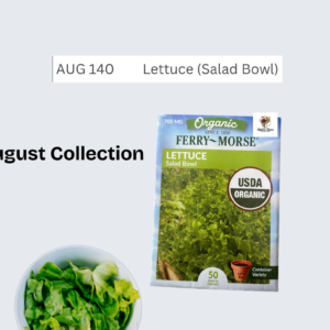 Lettuce (Salad Bowl)