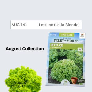Lettuce (Lollo Bionde)