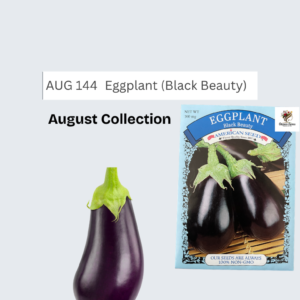 Black Beauty Eggplant