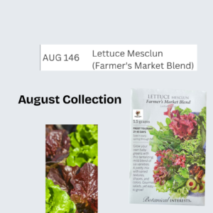 Lettuce Mesclun (Farmer's Market Blend)