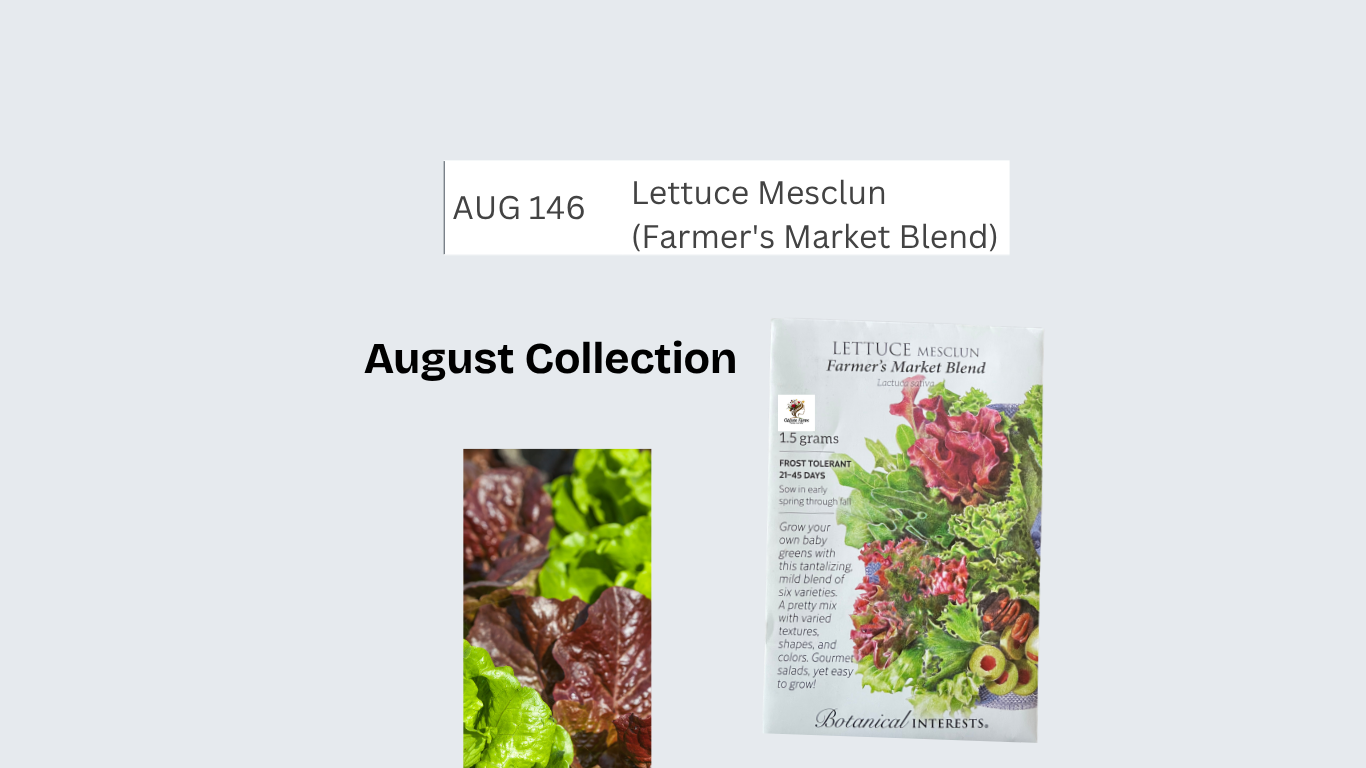 Lettuce Mesclun (Farmer's Market Blend)