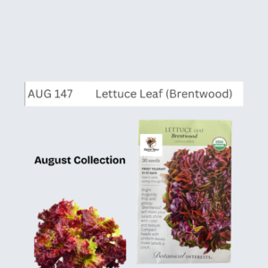 Lettuce Leaf (Brentwood)