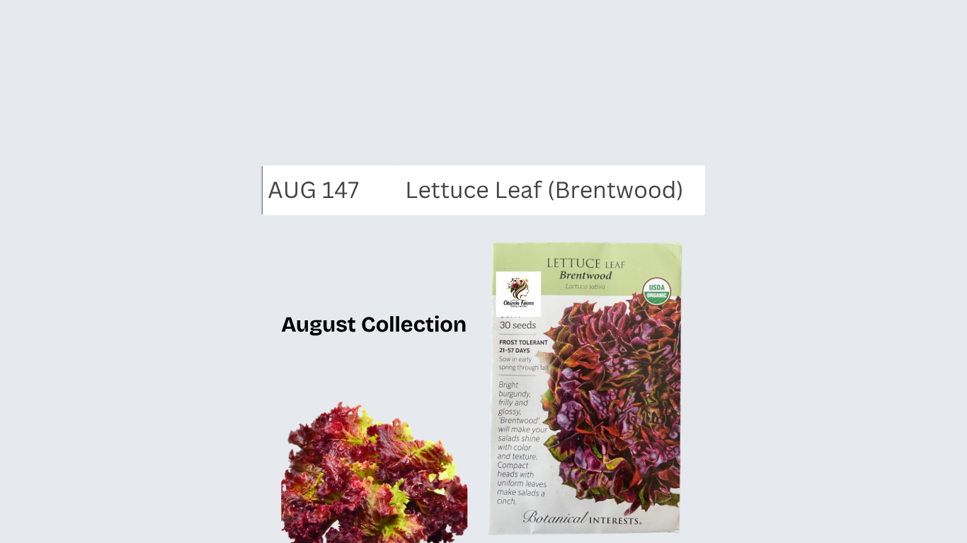 Lettuce Leaf (Brentwood)