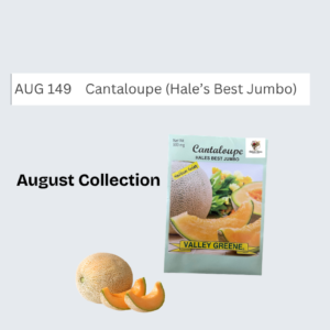 Cantaloupe (Hale’s Best Jumbo)