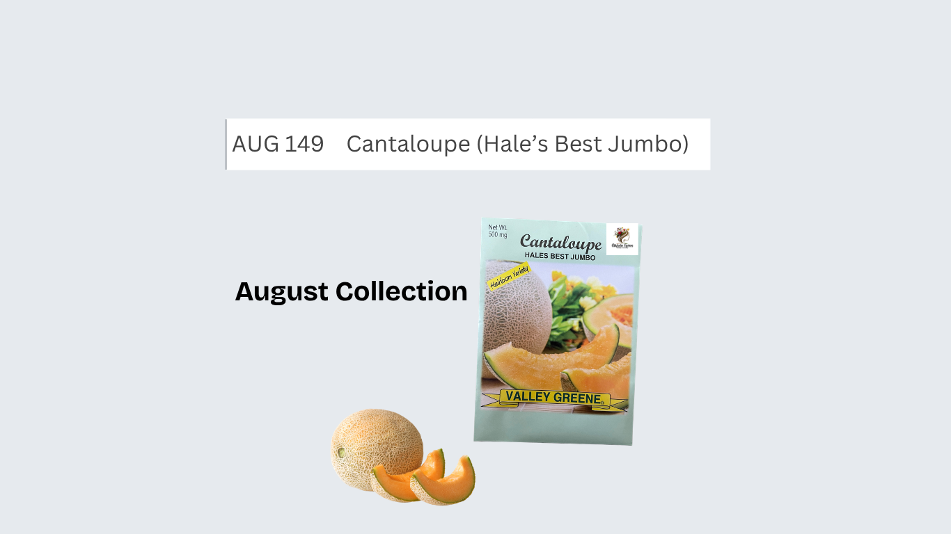 Cantaloupe (Hale’s Best Jumbo)
