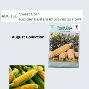 Sweet Corn (Golden Bantam Improved 12 Row)