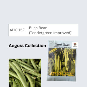 Bush Bean (Tendergreen Improved)