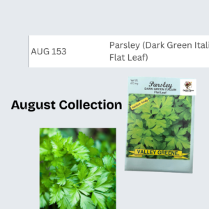 Parsley (Dark Green Italian Flat Leaf)