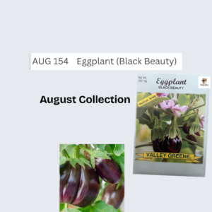 Eggplant Seeds (Black Beauty)