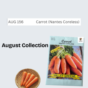 Carrot (Nantes Coreless)