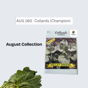 Collards (Champion)
